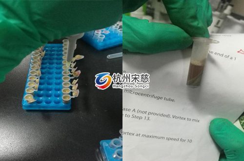 <a href=http://www.pzbyyx.com/prouduct/lengdong/ target=_blank class=infotextkey>冷凍研磨儀</a>